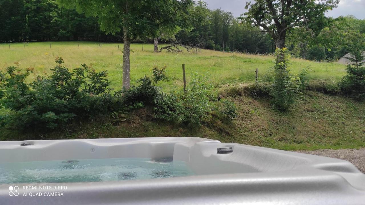 The Primeveres Home - Spa Sainte-Marie-aux-Mines Bagian luar foto